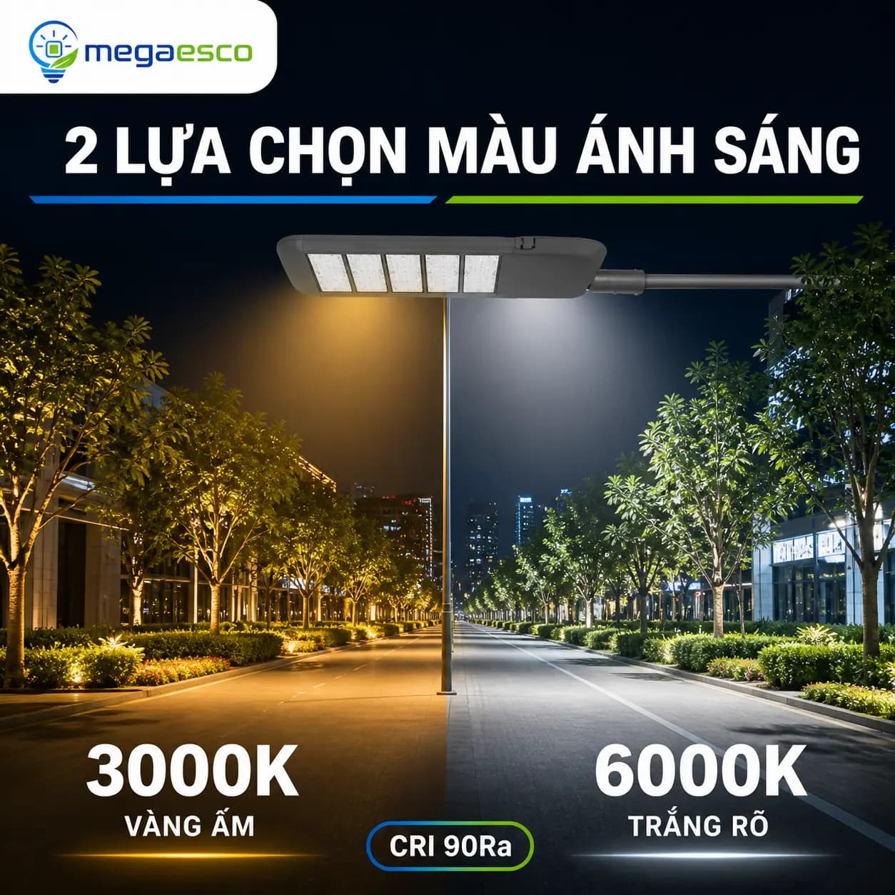LED Đường Phố Mega Esco MC-RL-001 100W