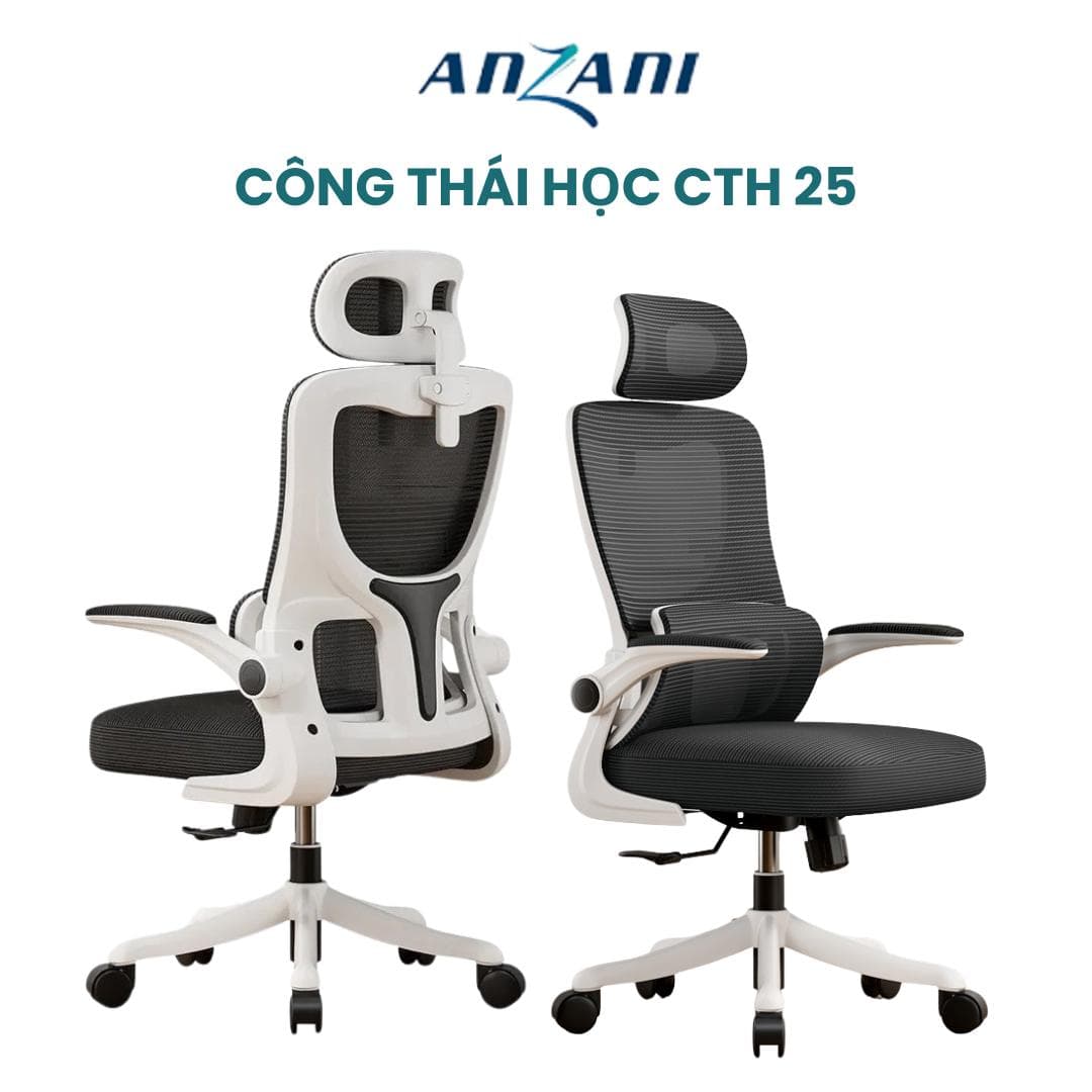 {CTH 25}_Ghế tựa lưng CTH 25 nhà ANZANI, ghế công thái học lưng kép giúp đỡ lưng cao cấp, lưng ghế thiết kế cố định không ngả nhựa bền ghế  công
